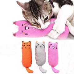 Catnip Toy Cute Pillow