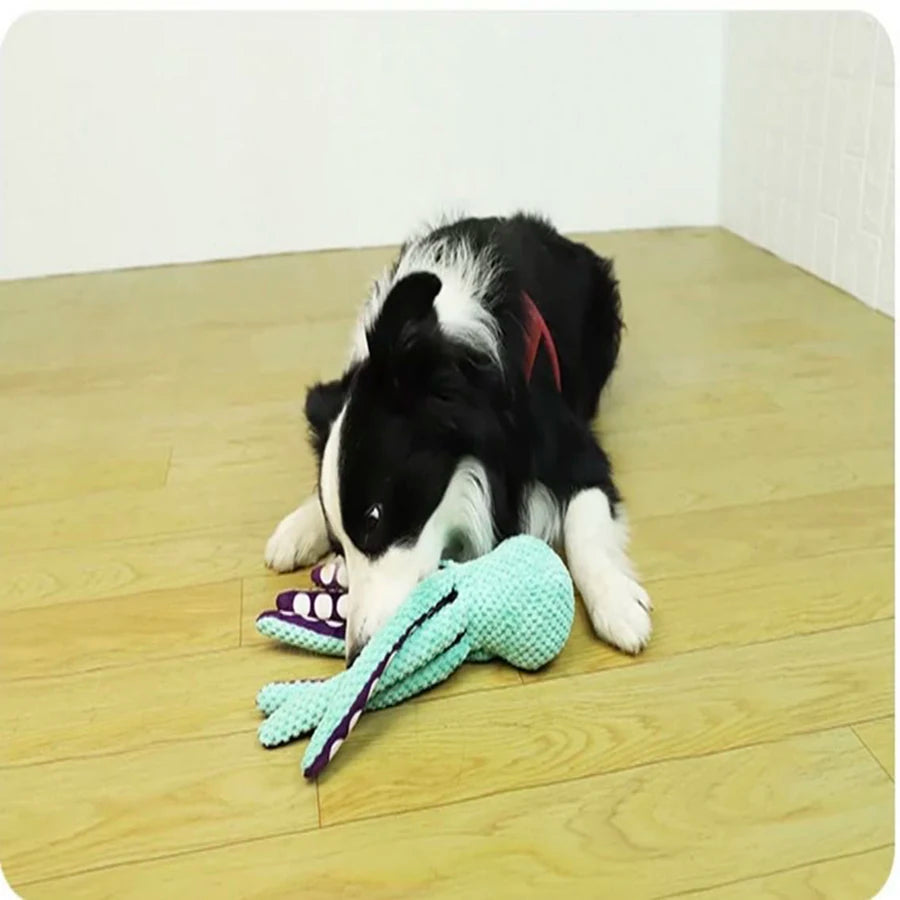 Dog Plush - Octopus Toy